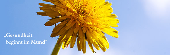 Ästhetische Sonnenblume
